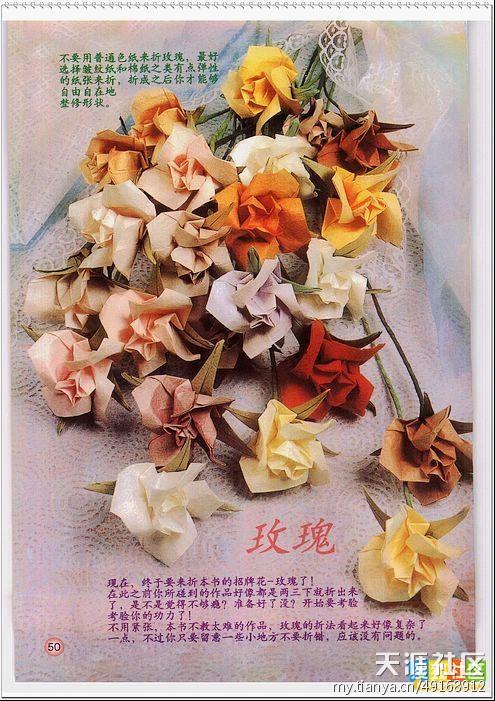 玫瑰